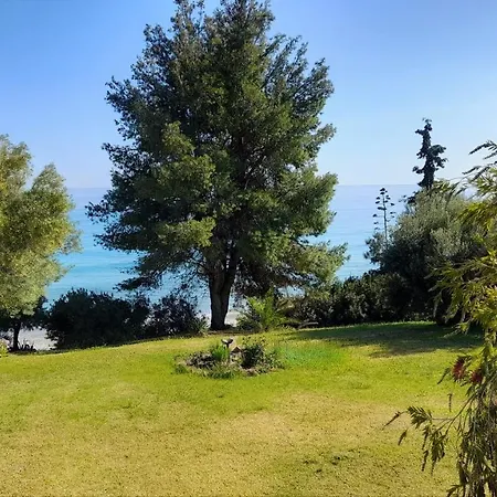 Olive Seaside Studio Apartment *