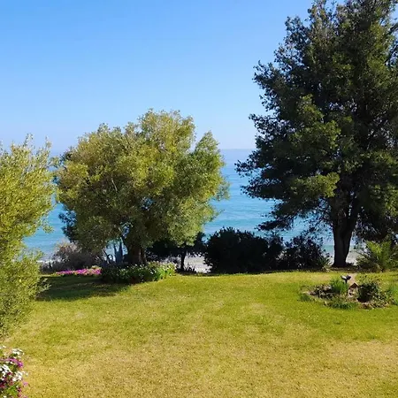 Apartment Olive Seaside Studio Mola Kalyva