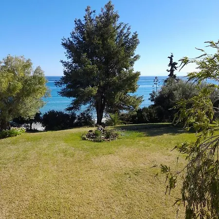 Olive Seaside Studio